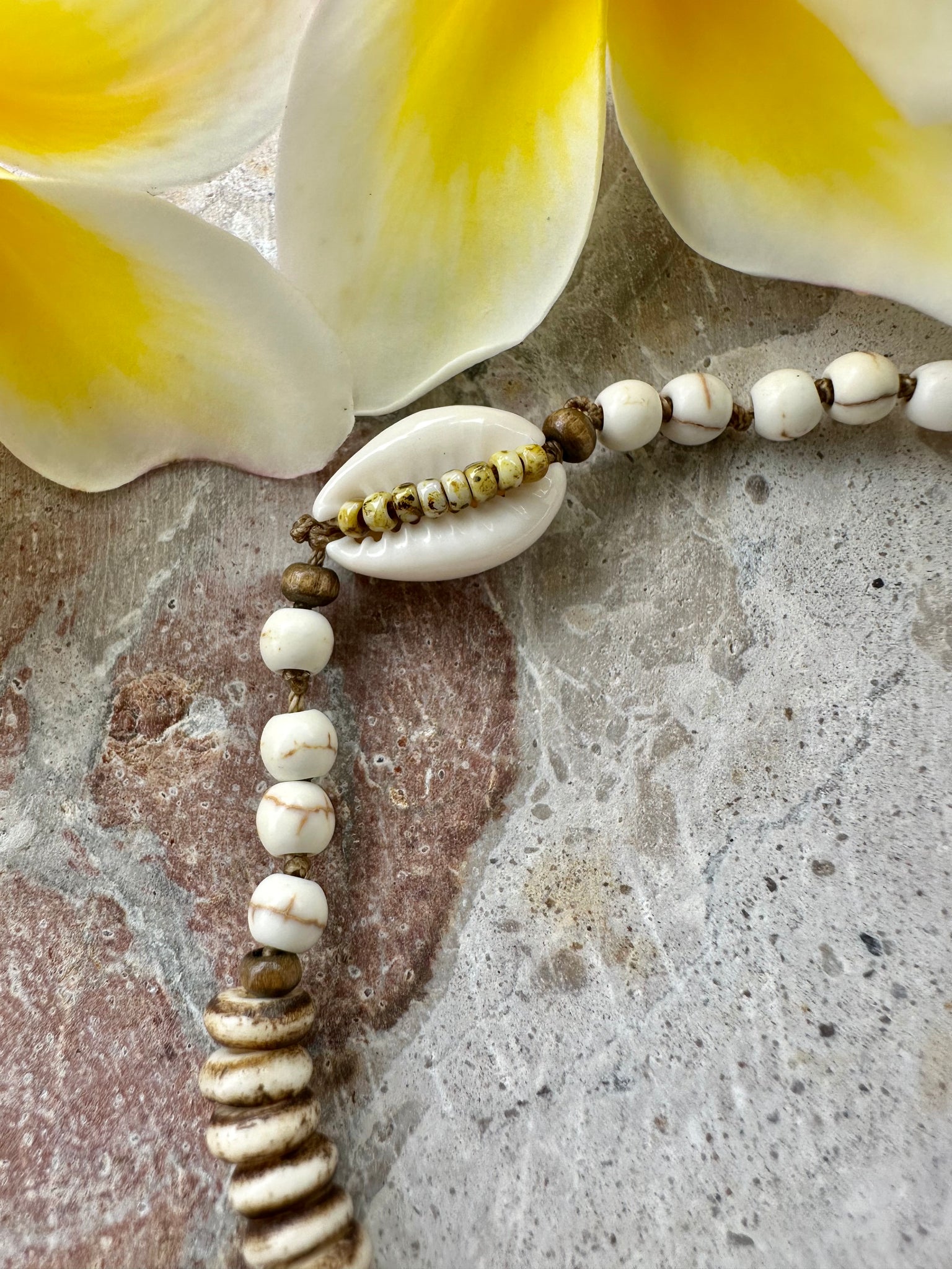 Cowrie Shell White Knotted Boho Bracelet